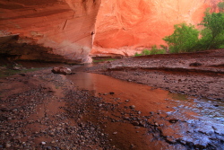 Harris Wash, Utah