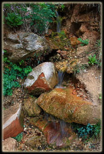 Small creek near Weeping Rock