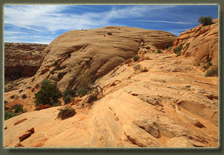 Horseshoe Canyon, Utah