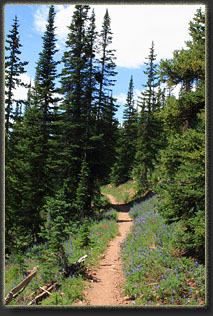 Huston Park Wilderness, WYoming