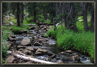 Huston Park Wilderness, WYoming