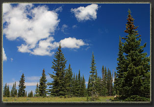 Huston Park Wilderness, WYoming