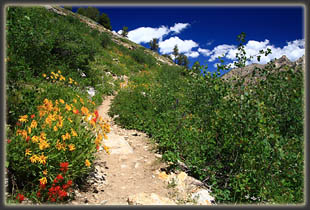 Island Lake Trail in the Ruby Mountains, Nevada