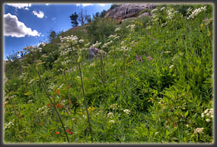 Island Lake Trail in the Ruby Mountains, Nevada