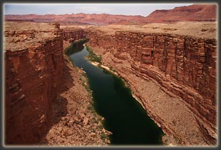 Marble Canyon from Navajo Bridge upstream from Jackass Canyon