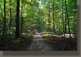 Walls of Jericho, Alabama-Tennessee