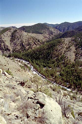 Poudre Canyon, east of Mt McConnel
