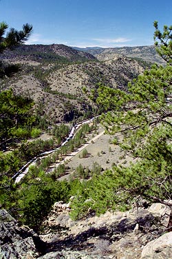 Poudre Canyon, west of Mt McConnel