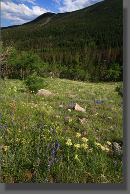 King Lake Colorado