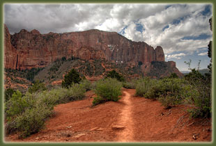 Zion National Park