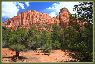 Zion National Park