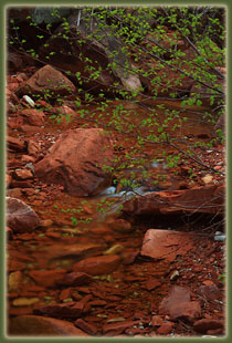 Zion National Park