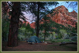 Zion National Park