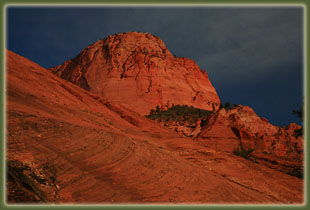 Zion National Park