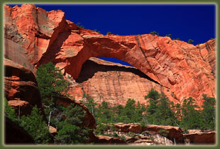 Zion National Park