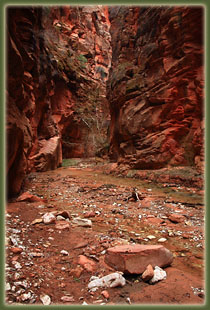 Zion National Park