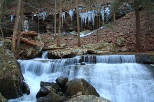 Laurel-Snow Pocket Wilderness, Tennessee