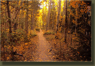 Lawn Lake Trail