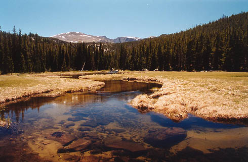 Roaring Fork, Shoshone National Forest