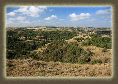 Medora National Grasslands, North Dakota