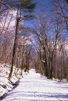 Road up Pack Mondadnock in November