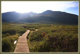 Wet meadow with Mt Bierstadt in the distance