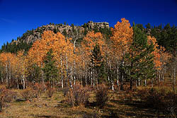 Mt Margaret Trail