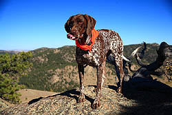 Makenzie on Mt Margaret