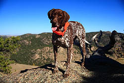 Makenzie on Mt Margaret