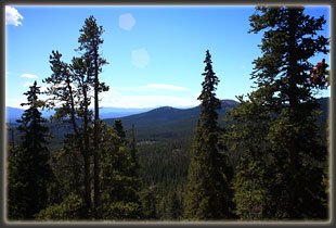 Along the trail to North Bald Mt