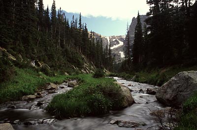 Fern Creek, Rocky Mountain National Park