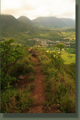 Trail near the summit of Olomana