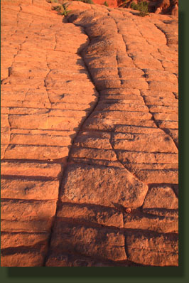 Escalante National Monument