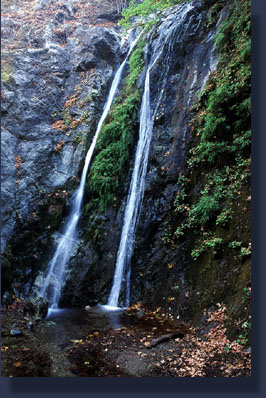 Pfeiffer Falls