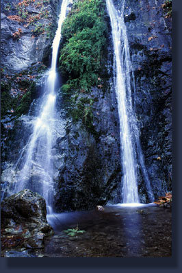 Pfeiffer Falls