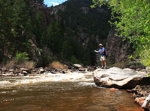 fly fishing on the Poudre River