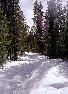 Ranger Lakes Trail, December 1997