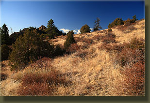 Nice ridge-walk from the north to the summit