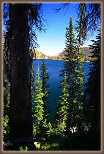 Roxy Ann Lake through the trees, Mt Zirkel Wilderness, Colorado