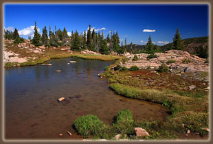 Timberline pools, Mt Zirkel Wilderness, Colorado
