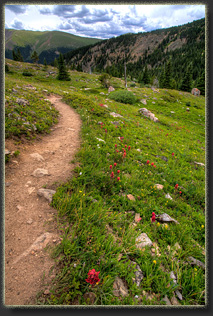 Second Creek trail near Berthoud Pass, Colorado