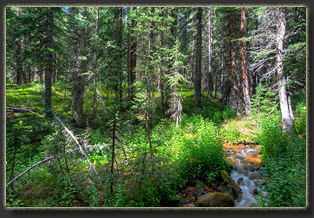 Second Creek trail near Berthoud Pass, Colorado