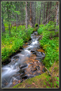 Second Creek trail near Berthoud Pass, Colorado