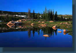 Cool blue reflections at dawn