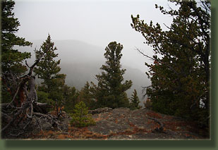 Sleeping Elephant Mountain hike