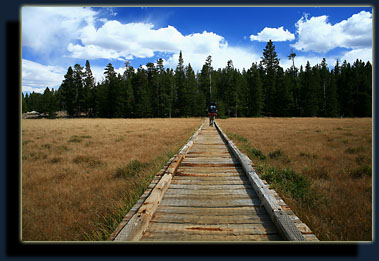 The boardwalk over the meadow