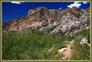 Thomas Canyon, Ruby Mountains, Nevada