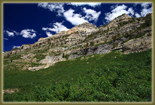 Thomas Canyon, Ruby Mountains, Nevada