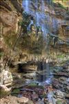 Virgin Falls Pocket Wilderness
