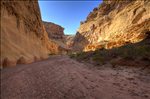 Chute Canyon